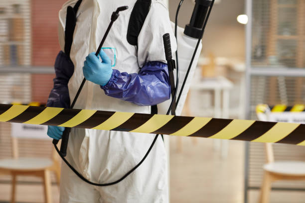 Professional Hoarding Cleanup technician working in Canyon Lake, TX